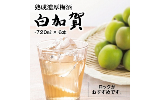 あいちゃん様　中熟~完熟　紅加賀梅　20kg あいちゃん様 中熟~完熟 紅加賀梅 20kg hi036-026-01rrv.jpg