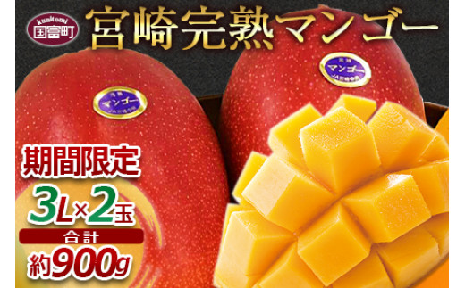 数量限定！＜宮崎県産 完熟マンゴー B等級 3Lサイズ×2玉（合計約900g）＞2024年4月下旬～6月末迄に順次出荷