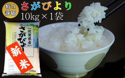 新米 令和5年産 さがびより 10kg【特A米 米 ブランド米 県産米 精米