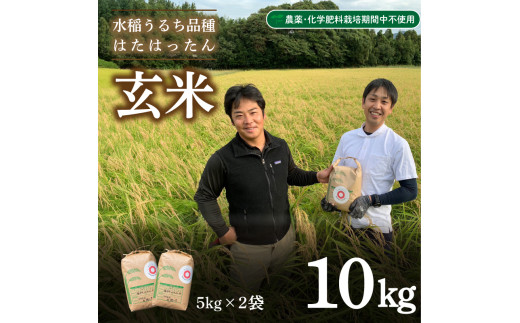 玄米 10kg 新米 精米可 白米 山口 県産 うるち 有機栽培 栽培期間中 ...