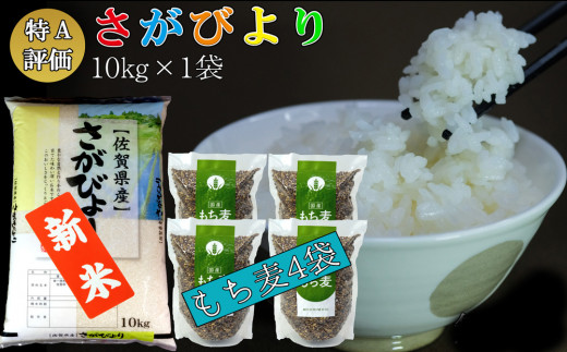 新米 令和5年産 さがびより 10kg＋もち麦 4袋【特A米 米 ブランド米 県産米 精米 ごはん おにぎり お弁当 もち麦 もちむぎ 食物繊維  ぷちぷち もちもち】 A8-C018017