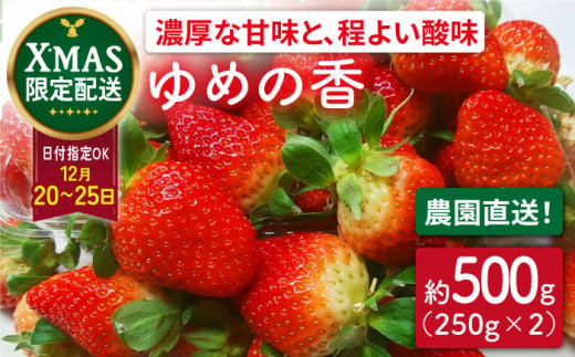 【クリスマス用・数量限定】長崎県産 いちご ゆめの香 約1kg（250g