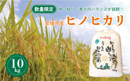 リピーターの予約のヒノヒカリ受付ページ