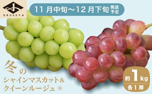 冬のシャインマスカット＆クイーンルージュ® 約1kg 各1房 ［小布施屋］フルーツ 果物 くだもの ぶどう 葡萄 ブドウ クール便 冷蔵 お楽しみ  長野県産 信州産 令和5年 【2023年11月中旬～12月下旬発送】 ［A-302］