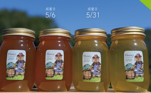 №5308-0272]天然蜂蜜 国産蜂蜜 非加熱 生はちみつ 合計2400g 岐阜県