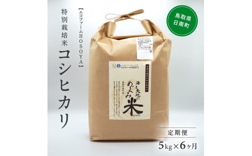 [№5667-0289]【6カ月連続お届け】新米 令和6年産 海と天地のめぐみ米（コシヒカリ） 白米5kg