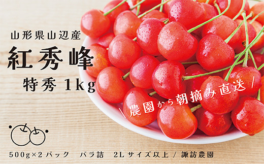 先行予約 【農業者支援】《ご家庭用》2023年度 山形県産 サンふじ 3kg