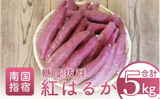 サンプル写真