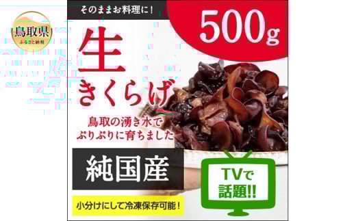 y挧zA24-164 Y炰500g|h{ՂvvH