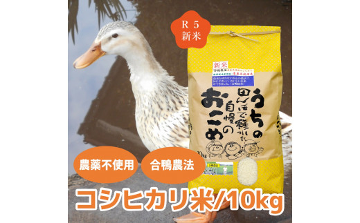 【令和5年産新米】農薬不使用　コシヒカリ米　合鴨農法　10kg(特別栽培米、旧名：会津磐梯山宝米）