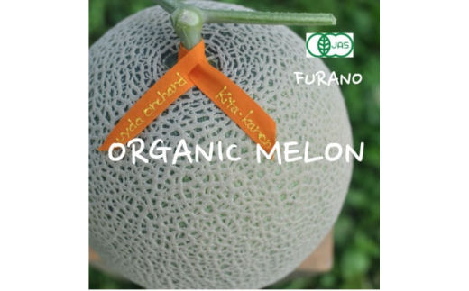 ykCxǖszI[KjbN 2ʓ蔠 3.8kgȏ ԓ2026N7{菇y1445852z