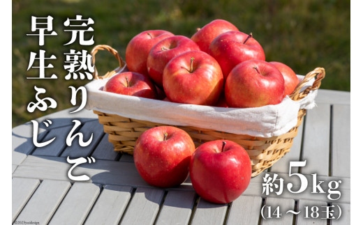 先行受付 数量限定 完熟 りんご 早生ふじ 約5kg 13～18玉 [三谷果樹園 北海道 砂川市 12260527] リンゴ 林檎 フルーツ 果物  くだもの