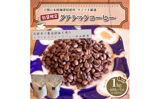 訳あり コーヒー粉 1kg ( 500g × 2袋 ) 数量限定 ハンドドリップ