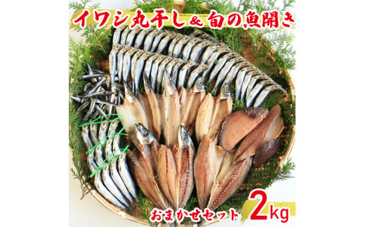 【訳あり】魚の丸干し＆開き おまかせセット2kg 魚 海鮮 干物 ひもの 丸干し 切り身 おつまみ おかず 新鮮 魚介 天然 乾き物 乾物 酒のあて  ごはんのおかず 人気 珍味 グルメ 規格外 国産 旬 季節 武久海産 愛媛 愛南 - 愛媛県愛南町｜ふるさとチョイス - ふるさと ...