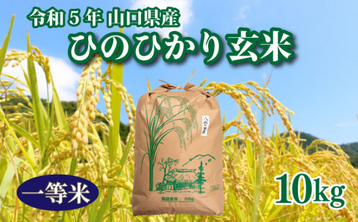 【令和5年】令和5年収穫 山口県産ひのひかり 玄米 10kg×1箱