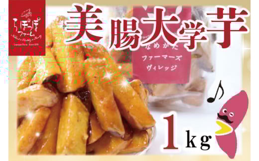 y錧sszۂۃt@[yH꒼zw 1kgb܂ w  Tc}C  XC[c َq Ⓚ w lC  錧 ss ۂ