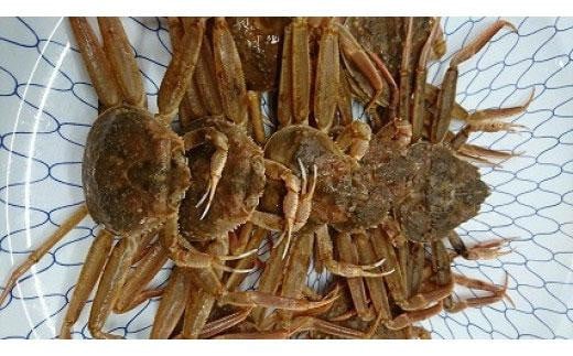 【鳥取県三朝町】【先行予約】ボイル 親ガニ カニ酢付き ( 5 〜 6枚 )|国産 ズワイガニ 松葉ガニ カニ 蟹 かに ボイル カニ鍋 かに鍋 鍋 かにしゃぶ かにみそ 期間限定 送料無料 鳥取県 三