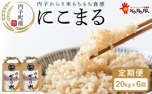 6ヶ月定期便】内子からり米 令和6年産 にこまる 玄米20kg（玄米10kg×2 