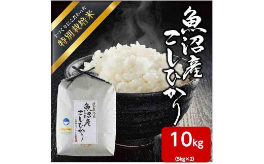 魚沼産 コシヒカリ 特別栽培米 10kg（5kg×2） 米 こしひかり お