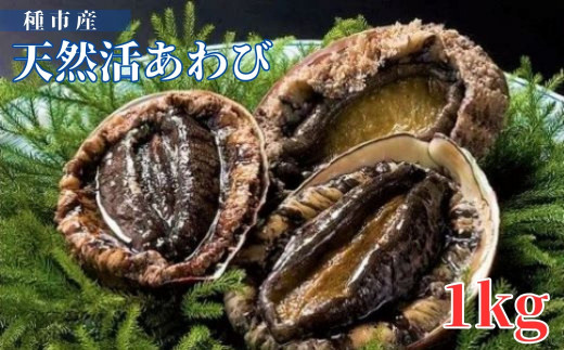 年内発送】種市産天然活あわび 7～9個程度(約1kg) お刺身 鮑 ステーキ 産地直送 冷蔵 - 岩手県洋野町｜ふるさとチョイス - ふるさと納税サイト