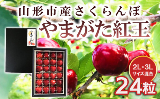 山形市産 さくらんぼ 【やまがた紅王】 2L/3Lサイズ混合 24粒 【令和7年産先行予約】FS24-590くだもの 果物 フルーツ 山形 山形県 山形市  2025年産 - 山形県山形市｜ふるさとチョイス - ふるさと納税サイト