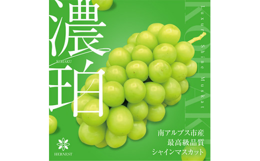 山梨県南アルプス産 シャインマスカット 根域制限栽培 新鮮朝採り 