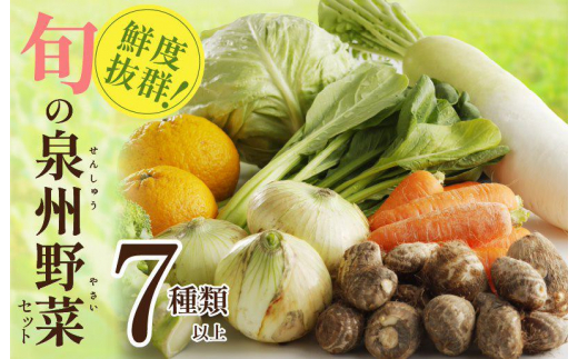 年内発送】旬の野菜セット 詰め合わせ 7種類以上 国産 新鮮 お試し