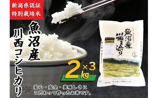 魚沼産川西こしひかり2kg×3 新潟県認証特別栽培米 令和５年度米 - 新潟