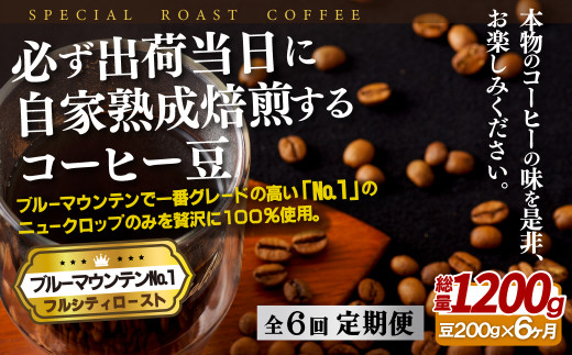 ブルマンNo.1ブレンド（生豆時４００ｇ） - コーヒー