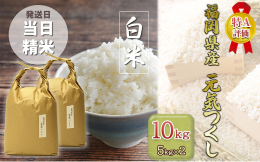 令和5年産　元気つくし10kg お米　白米　福岡県産米　特A受賞　銘柄米 米 10kg 元気つくし 福岡県産 特A評価 お米 5kg×2袋 白米 コメ