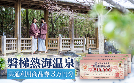 星野リゾート 磐梯山温泉ホテルで使えるふるさと応援感謝券74000円分 