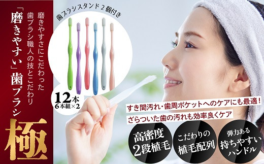 AB-89.磨きやすい歯ブラシ【極】LT-53 ふつう 12本 - 奈良県桜井市