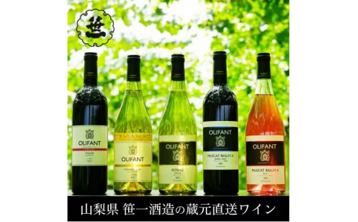 【蔵元直送】笹一酒造のOLIFANT(オリファン)ワイン おすすめ5本セット