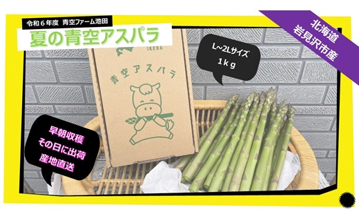 【先行予約/令和6年産】北海道岩見沢産　夏グリーンアスパラ　L～2Lサイズ 1kg【41104】