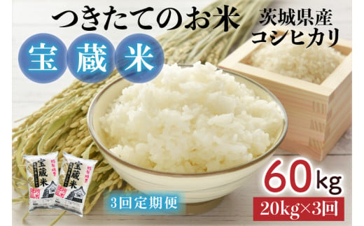 3ヶ月定期便】【令和6年産】茨城県産コシヒカリ 宝蔵米 20kg×3回【お米 米 菊池 こしひかり つきたてのお米 食味ランキング特A評価 茨城県  水戸市】（CZ-409） - 茨城県水戸市｜ふるさとチョイス - ふるさと納税サイト