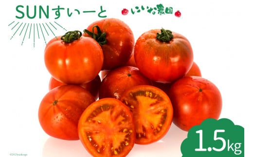 期間限定発送】 トマト SUNすいーと 1.5kg×1箱 [にいな農園 宮崎県 日向市 452060918] 野菜 フルーツトマト 高糖度 甘い -  宮崎県日向市｜ふるさとチョイス - ふるさと納税サイト