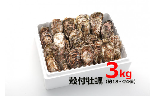 牡蠣フライ 20個入り×2 冷凍｜広島県産カキ かき 宮島 瀬戸 [1264