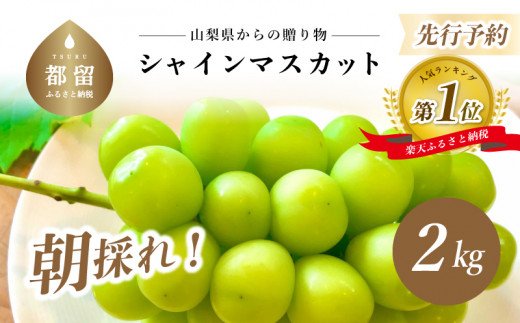 湧水のミネラルたっぷり！山梨の夏いちご】【2024年 先行予約】富士夏