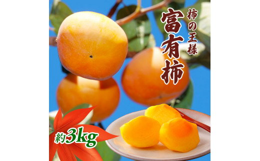 y쌧쒬z[5911-0102]`̉l xL` 3kg ʕ