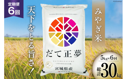 お米 6回 定期便 みやぎ米 だて正夢 5kg×6回 総計30kg [菊武商店 宮城