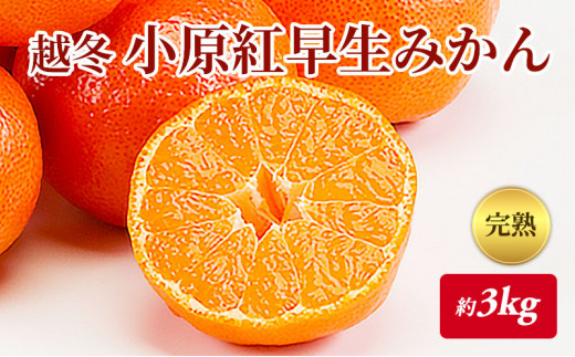 y쌧쒬z[5911-0207]nI z~ g݂@3kg t[c ʕ k