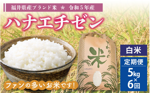 e30-c009] 定期便≪6ヶ月連続お届け≫ハナエチゼン 5kg × 6回 令和5年