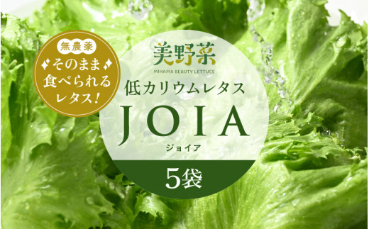 [m40-a009] 低カリウムレタス 美野菜 「JOIA」 5袋 クリーンルーム栽培 無農薬 鮮度長持ち