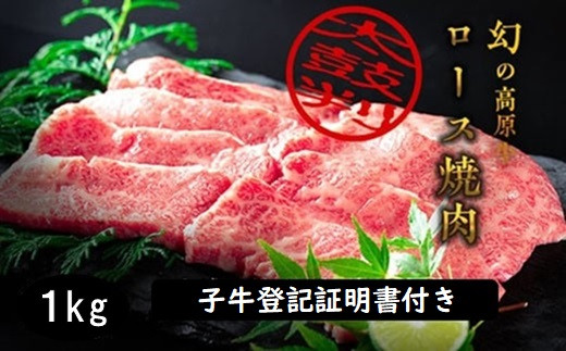 №5852-0382]『大川原高原牛』 特選ロース焼肉 1kg - 徳島県佐那河内村