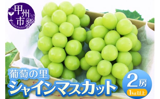 葡萄の里 シャインマスカット 2房（1kg以上）（HK）B12-440 【山梨県 シャインマスカット フルーツ 大粒 ぶどう 葡萄 ブドウ 果物 人気  種なし 新鮮 高級 ギフト 山梨県産 甲州市 贈答 くだもの 先行予約 期間限定 令和6年 2024年発送】 - 山梨県甲州市｜ふるさとチョイス ...