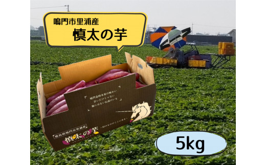 サンプル写真