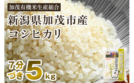 令和5年産米】【5分づき】新潟県加茂市産 特別栽培米コシヒカリ 精米