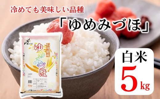 千里浜ミニ砂像王選手権開催！「ふるさと羽咋」の砂像文化をたくさんの