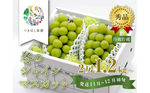 【冷蔵貯蔵】上山市産・冬に味わうシャインマスカット　２房　合計１.２ｋｇ　0140-2307