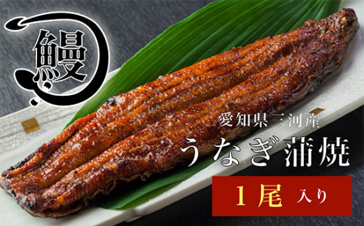 ymJszNo.140 Ȃ̊1 ^ V EiM ΏĂ ԐS m